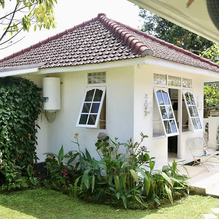 Pondok Plantation Luxury Mountain Escape Bedugul Bedugul  Dış mekan fotoğraf