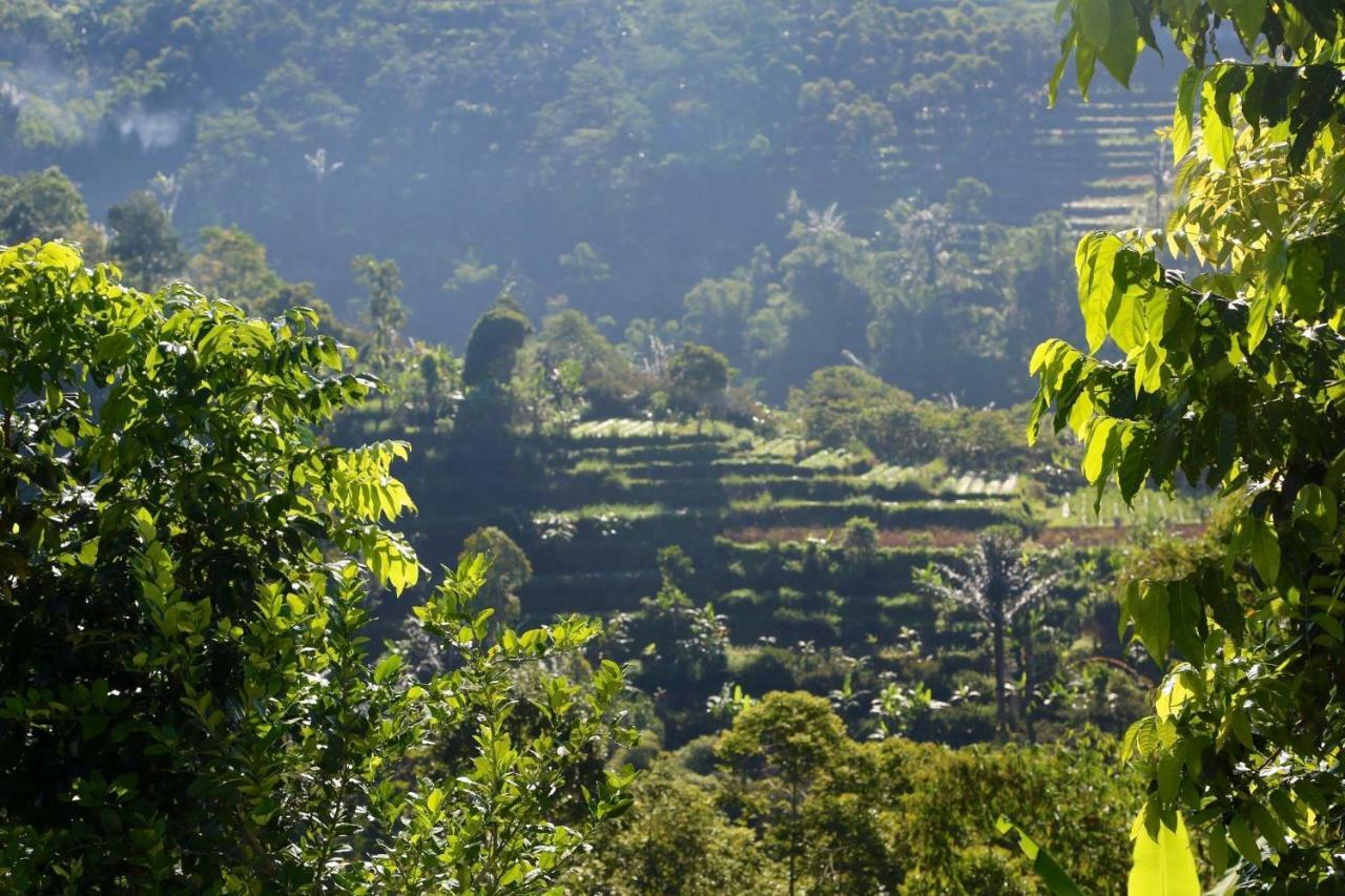 Pondok Plantation Luxury Mountain Escape Bedugul Bedugul  Dış mekan fotoğraf