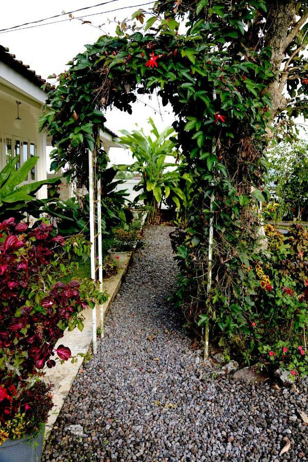 Pondok Plantation Luxury Mountain Escape Bedugul Bedugul  Dış mekan fotoğraf