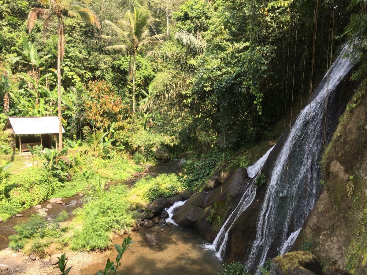 Pondok Plantation Luxury Mountain Escape Bedugul Bedugul  Dış mekan fotoğraf