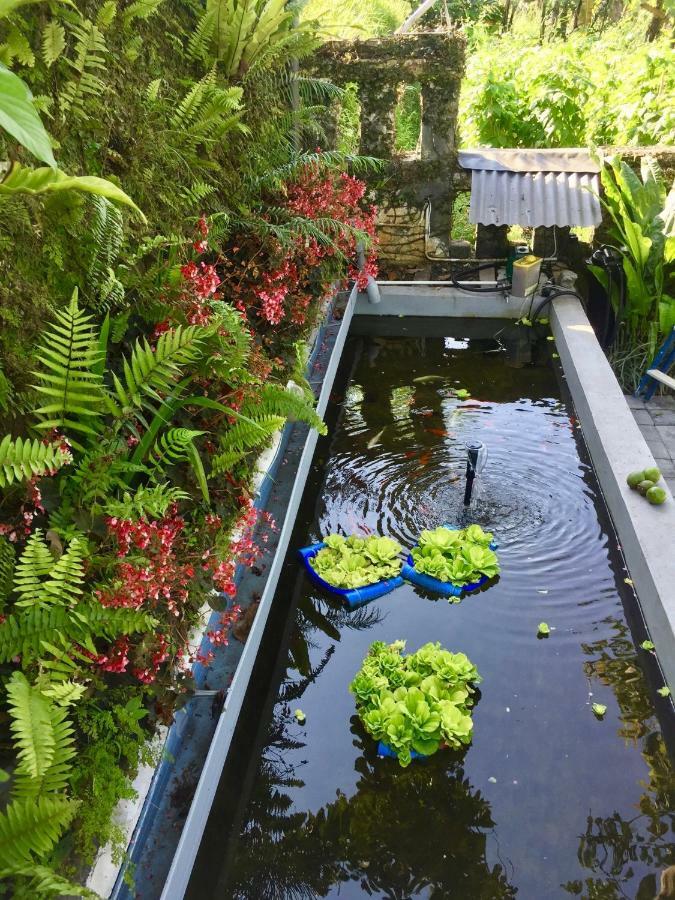 Pondok Plantation Luxury Mountain Escape Bedugul Bedugul  Dış mekan fotoğraf