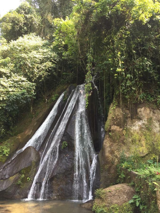 Pondok Plantation Luxury Mountain Escape Bedugul Bedugul  Dış mekan fotoğraf