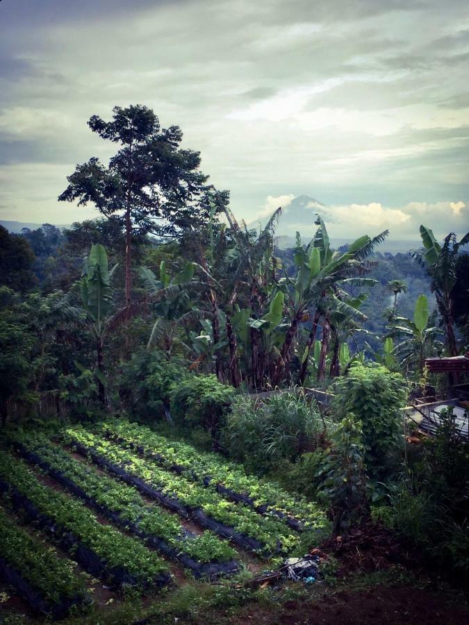 Pondok Plantation Luxury Mountain Escape Bedugul Bedugul  Dış mekan fotoğraf